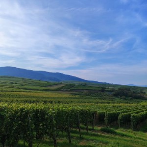 Le Lac de Kruth-Wildenstein et Eguisheim, encore un gros big up à @cecilodato, on reviendra 😎